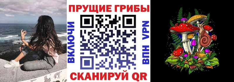 Псилоцибиновые грибы ЛСД  наркошоп  Новоузенск 